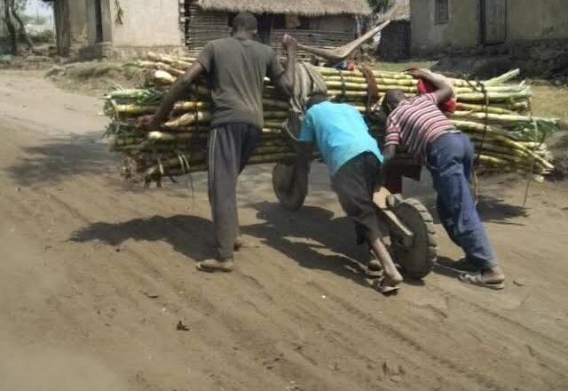 COP 30 à Belém : La RDC réclame la reconnaissance mondiale de son rôle climatique — un espoir pour les 450 tribus face aux défis des guerres et du dérèglement environnemental