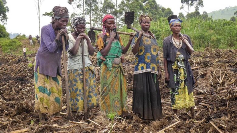 Rutshuru : les agriculteurs de Kahunga espèrent une meilleure saison culturale