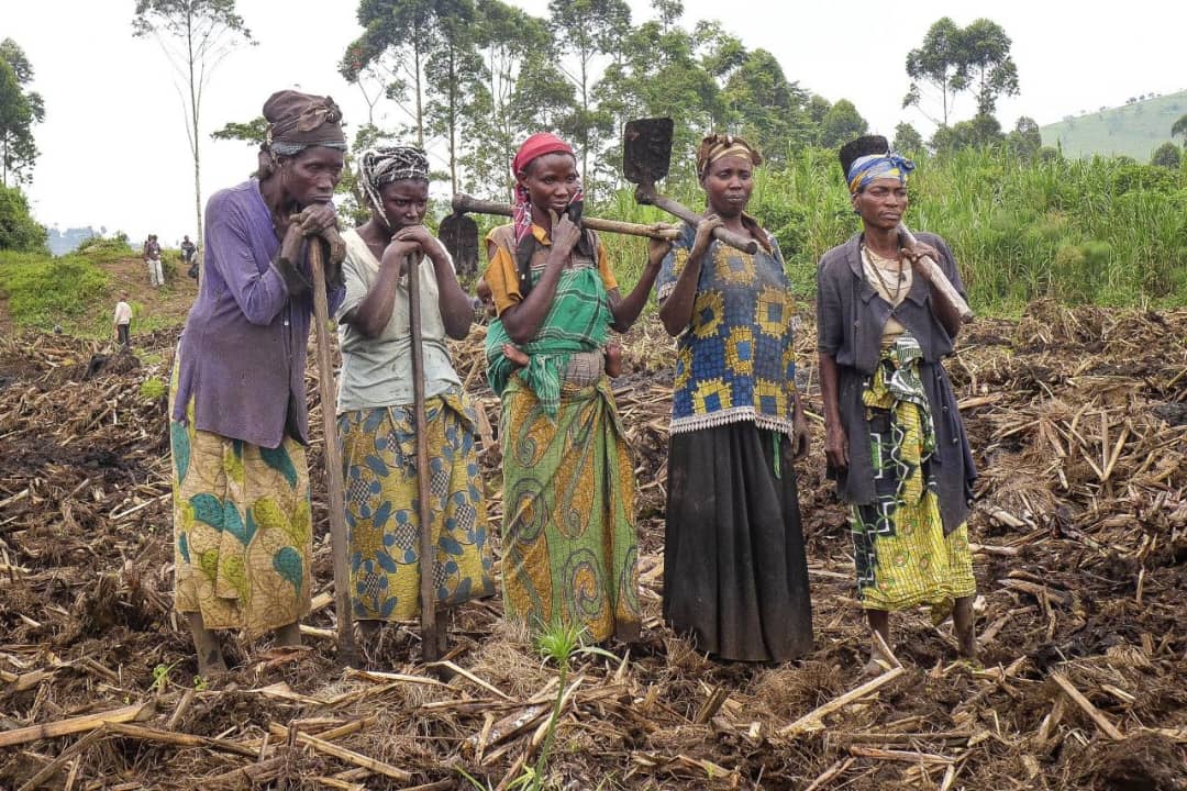 Rutshuru : les agriculteurs de Kahunga espèrent une meilleure saison culturale