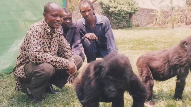 Nord-Kivu: Accusations contre GRACE RDC