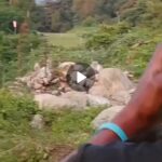 Crach du petit avion de Demerode