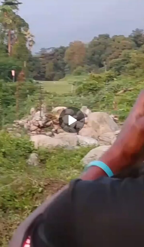 Crach du petit avion de Demerode