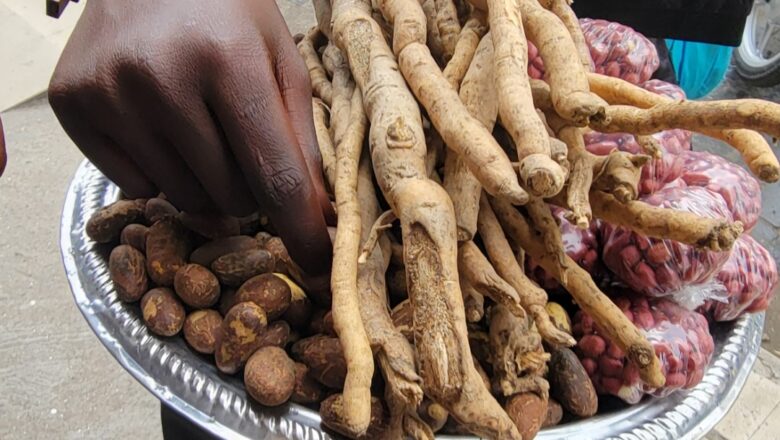 Goma : Le petit commerce ambulant des jeunes, aussi rentable que jamais