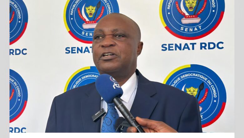 Sénat : Cet ancien rebelle du RCD qui s’implique dans l’espionnage et la manipulation