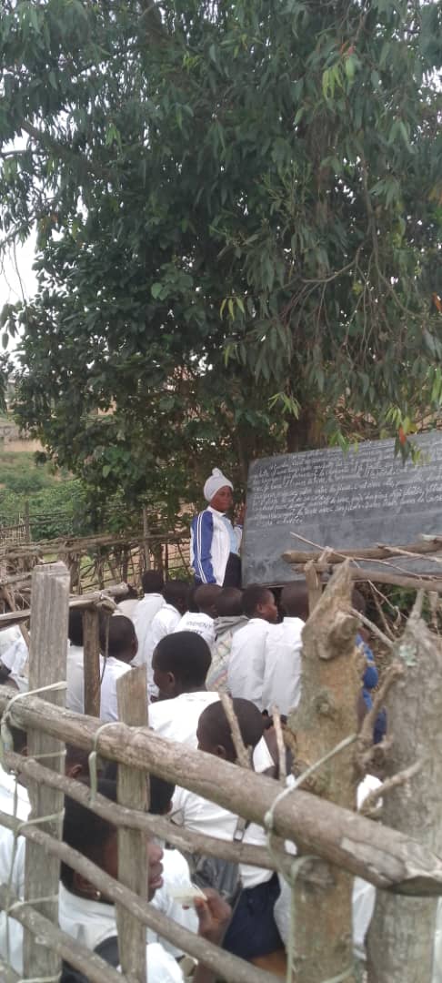Nord-Kivu : A Kamandi, des enfants condamnés à apprendre sans école, sous les manquiers