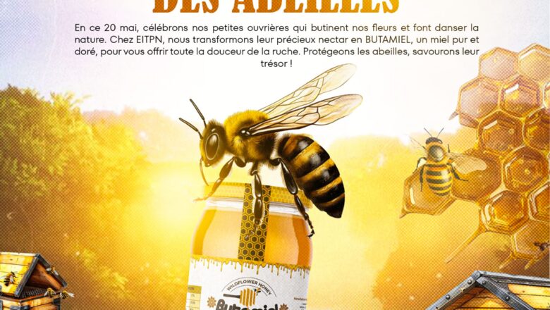 Journée mondiale des abeilles : les apiculteurs congolais appelés à protéger une espèce essentielle à la biodiversité