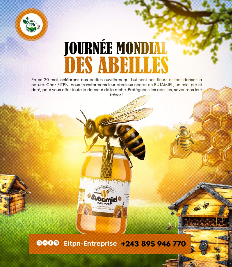 Journée mondiale des abeilles : les apiculteurs congolais appelés à protéger une espèce essentielle à la biodiversité