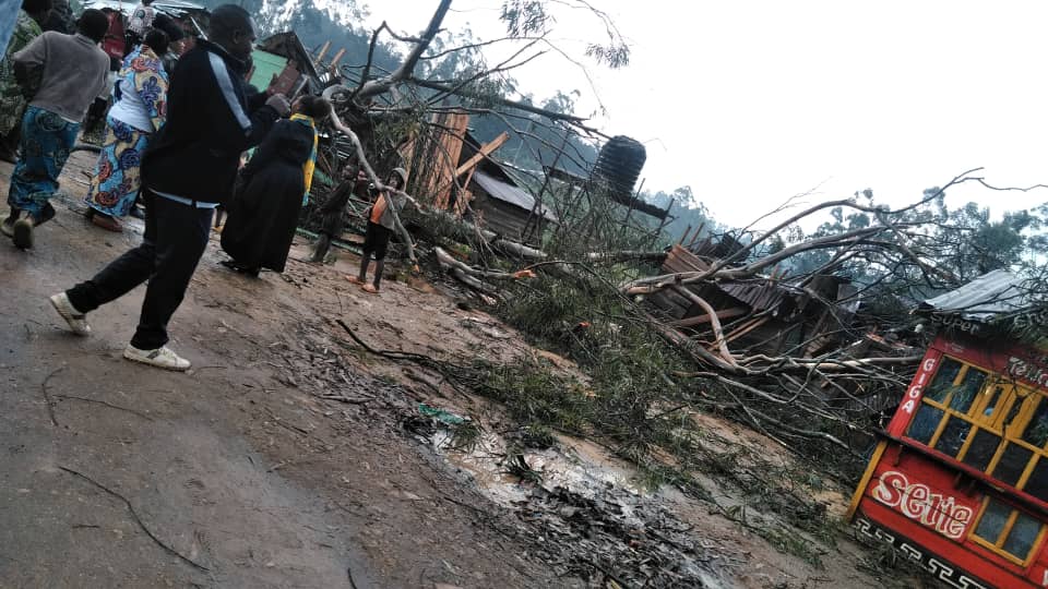 Musienene : la foudre fait tomber un arbre sur des habitations au rond-point Byondi